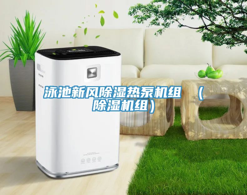 泳池新風除濕熱泵機組 （草莓视频污污污污組）