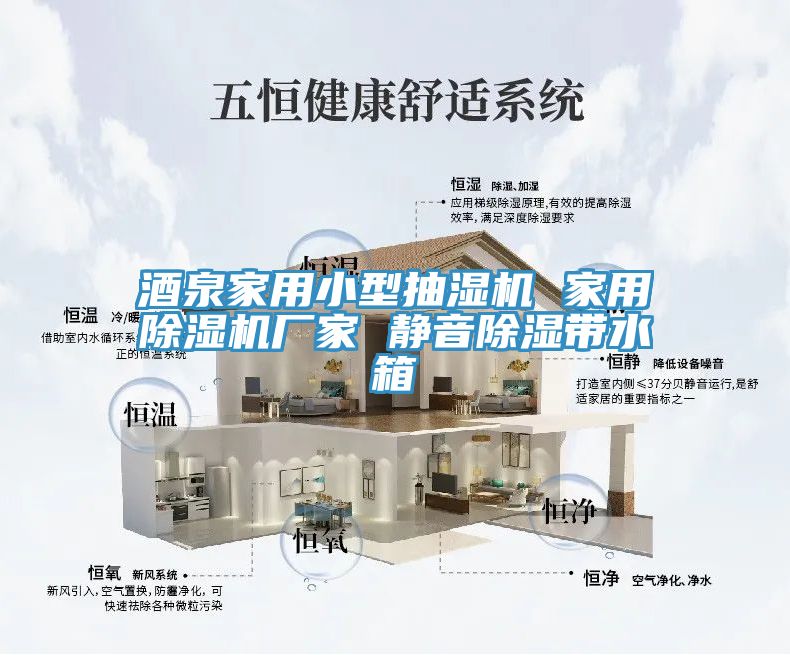 酒泉家用小型抽濕機 家用草莓视频污污污污廠家 靜音除濕帶水箱
