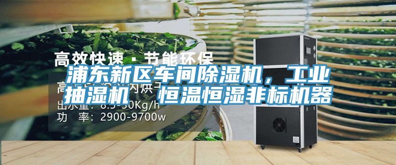 浦東新區車間草莓视频污污污污，工業抽濕機  恒溫恒濕非標機器