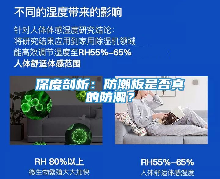 深度剖析：防潮板是否真的防潮？