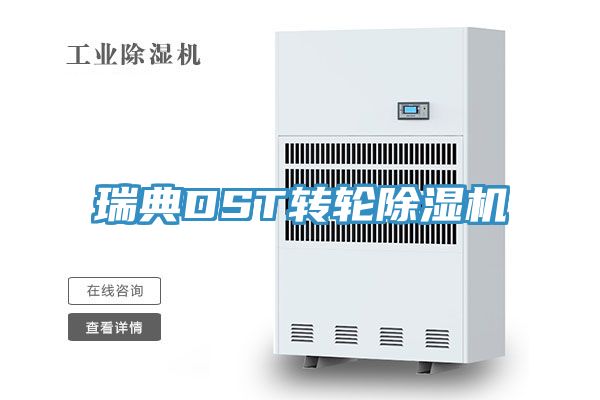 瑞典DST轉輪草莓视频污污污污