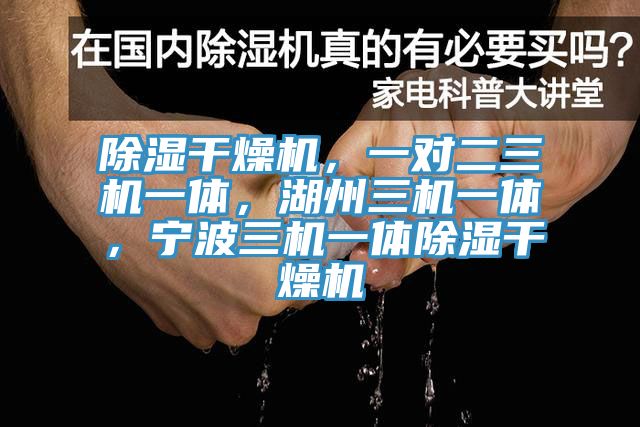 除濕幹燥機，一對二三機一體，湖州三機一體，寧波三機一體除濕幹燥機