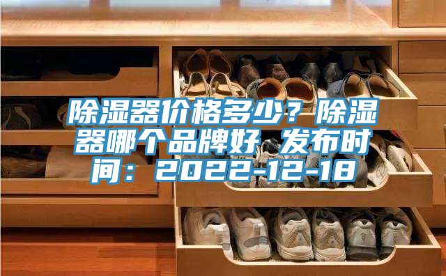 除濕器價格多少？除濕器哪個品牌好 發布時間：2022-12-18