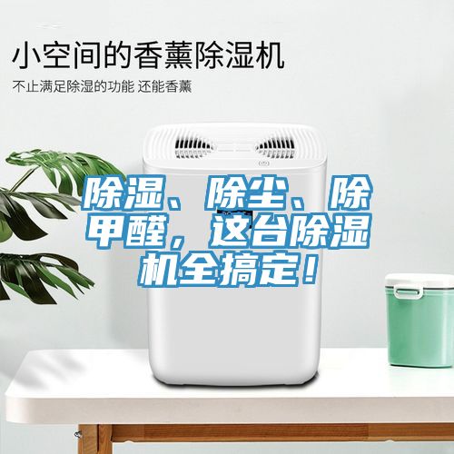 除濕、除塵、除甲醛，這台草莓视频污污污污全搞定！