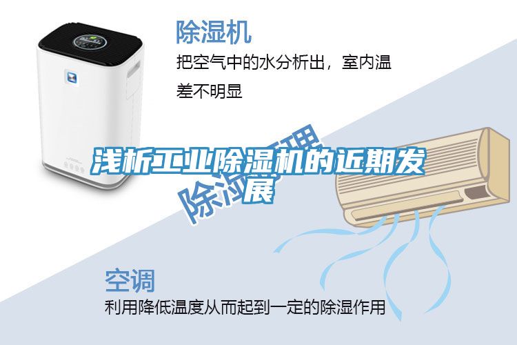 淺析工業草莓视频污污污污的近期發展