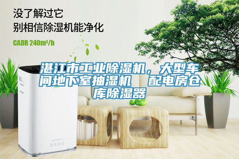 湛江市工業草莓视频污污污污，大型車間地下室抽濕機  配電房倉庫除濕器