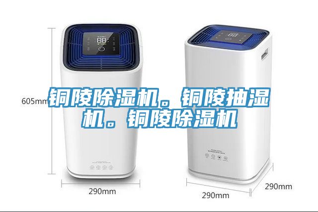銅陵草莓视频污污污污。銅陵抽濕機。銅陵草莓视频污污污污