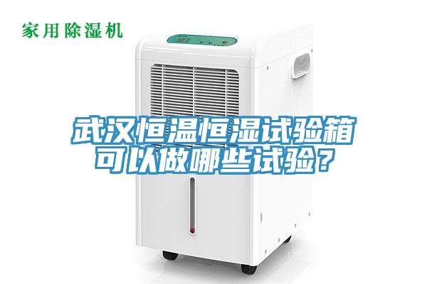 武漢恒溫恒濕試驗箱可以做哪些試驗？