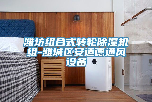 濰坊組合式轉輪草莓视频污污污污組-濰城區安適德通風設備