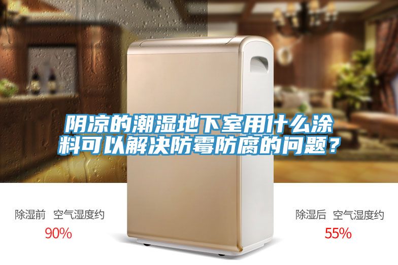 陰涼的潮濕地下室用什麽塗料可以解決防黴防腐的問題？