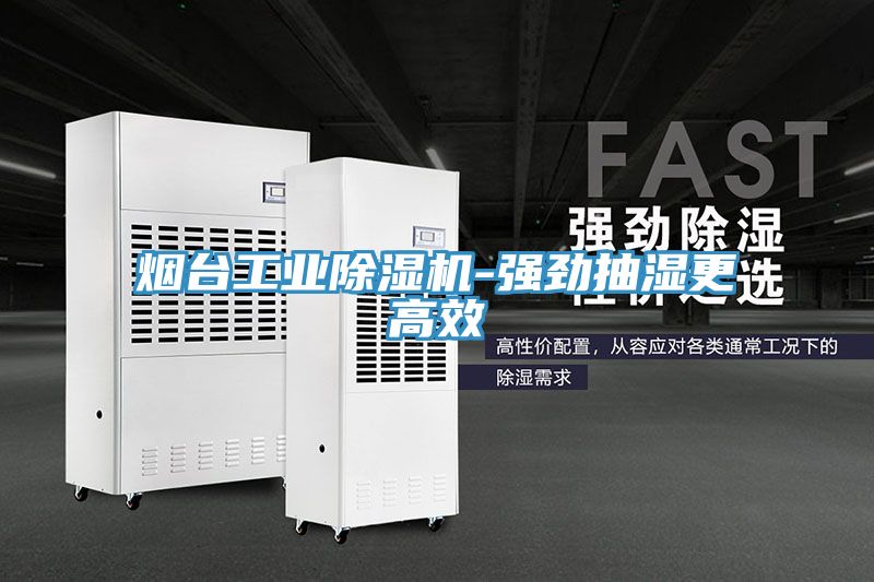 煙台工業草莓视频污污污污-強勁抽濕更高效