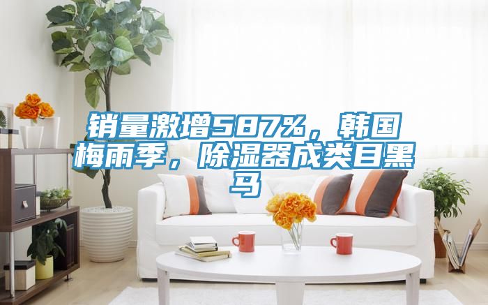 銷量激增587%，韓國梅雨季，除濕器成類目黑馬