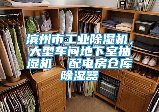 濱州市工業草莓视频污污污污，大型車間地下室抽濕機  配電房倉庫除濕器
