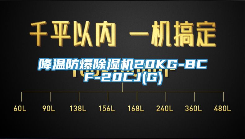 降溫防爆草莓视频污污污污20KG-BCF-20CJ(G)