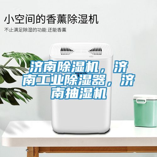 濟南草莓视频污污污污，濟南工業除濕器，濟南抽濕機