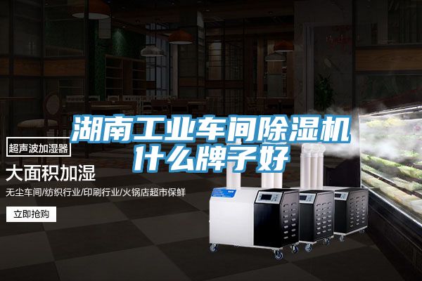湖南工業車間草莓视频污污污污什麽牌子好