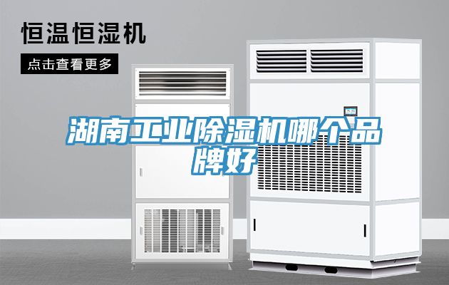 湖南工業草莓视频污污污污哪個品牌好