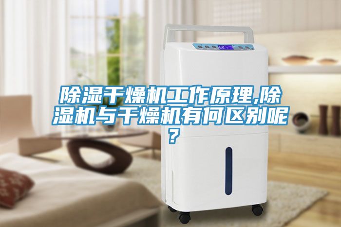 除濕幹燥機工作原理,草莓视频污污污污與幹燥機有何區別呢？