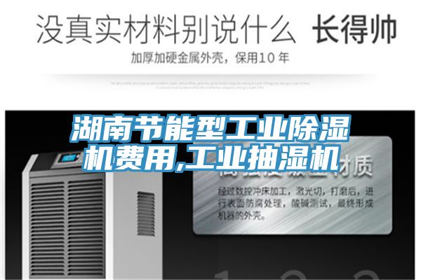 湖南節能型工業草莓视频污污污污費用,工業抽濕機