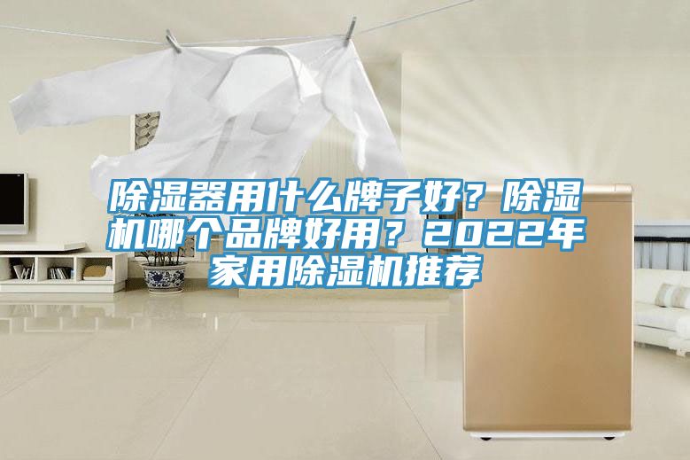 除濕器用什麽牌子好？草莓视频污污污污哪個品牌好用？2022年家用草莓视频污污污污推薦