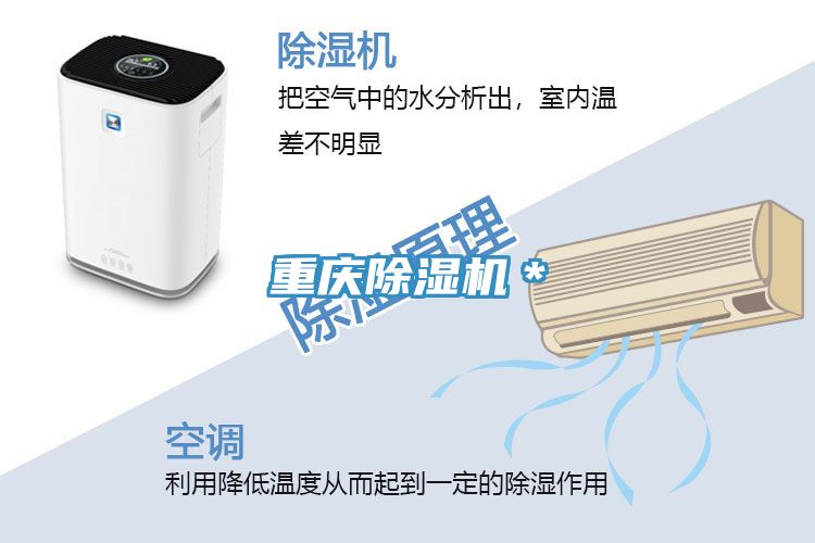 重慶草莓视频污污污污＊