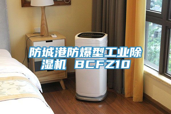 防城港防爆型工業草莓视频污污污污 BCFZ10