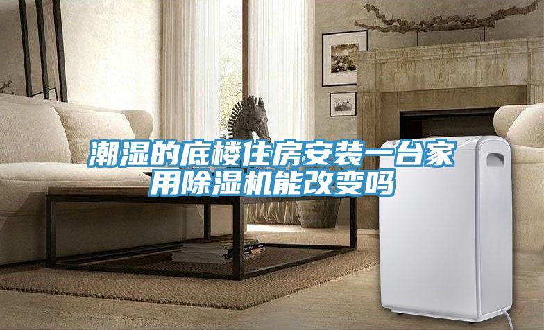 潮濕的底樓住房安裝一台家用草莓视频污污污污能改變嗎