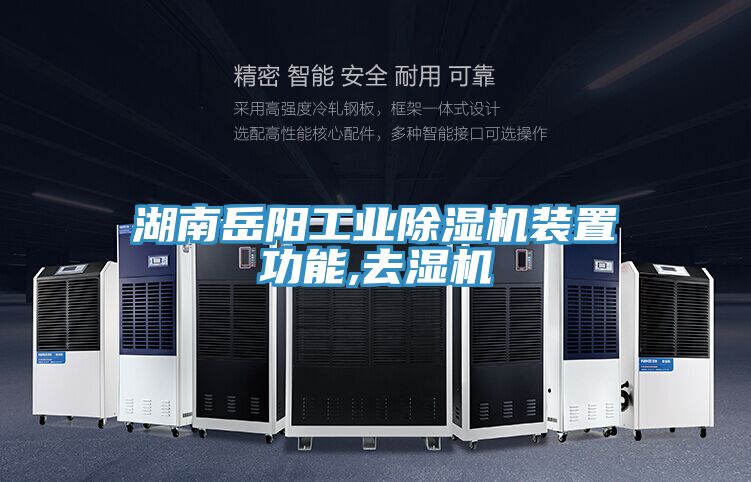 湖南嶽陽工業草莓视频污污污污裝置功能,去濕機