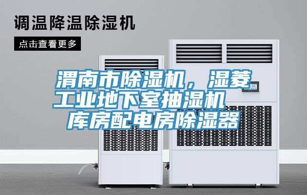 渭南市草莓视频污污污污，濕菱工業地下室抽濕機  庫房配電房除濕器