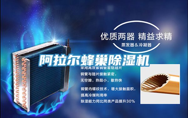 阿拉爾蜂巢草莓视频污污污污