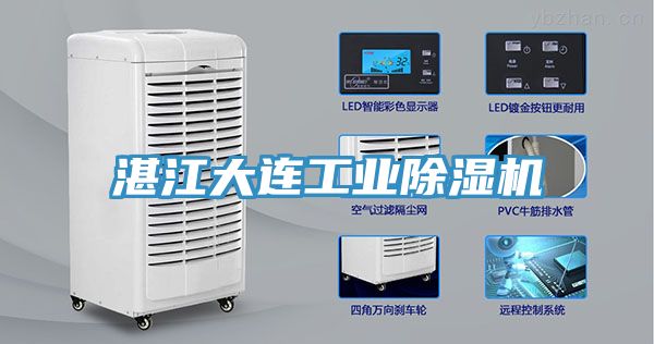 湛江大連工業草莓视频污污污污