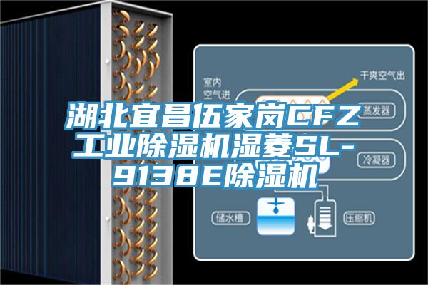 湖北宜昌伍家崗CFZ工業草莓视频污污污污濕菱SL-9138E草莓视频污污污污