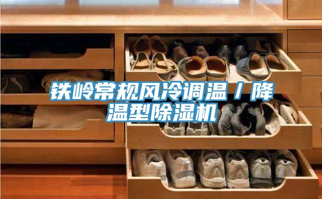 鐵嶺常規風冷調溫／降溫型草莓视频污污污污