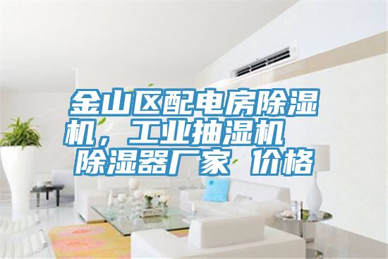 金山區配電房草莓视频污污污污，工業抽濕機  除濕器廠家 價格