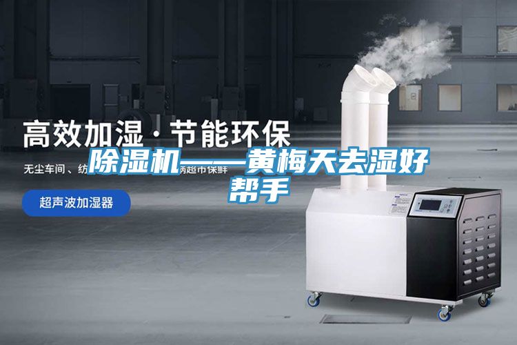 草莓视频污污污污——黃梅天去濕好幫手