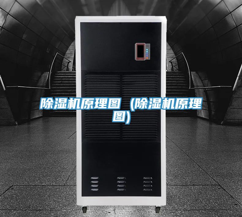 草莓视频污污污污原理圖 (草莓视频污污污污原理圖)