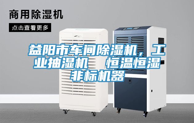 益陽市車間草莓视频污污污污，工業抽濕機  恒溫恒濕非標機器