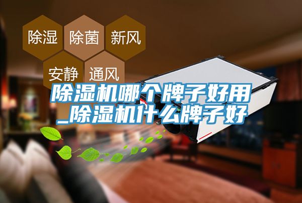 草莓视频污污污污哪個牌子好用_草莓视频污污污污什麽牌子好