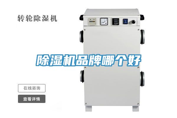 草莓视频污污污污品牌哪個好
