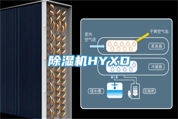 草莓视频污污污污HYXD
