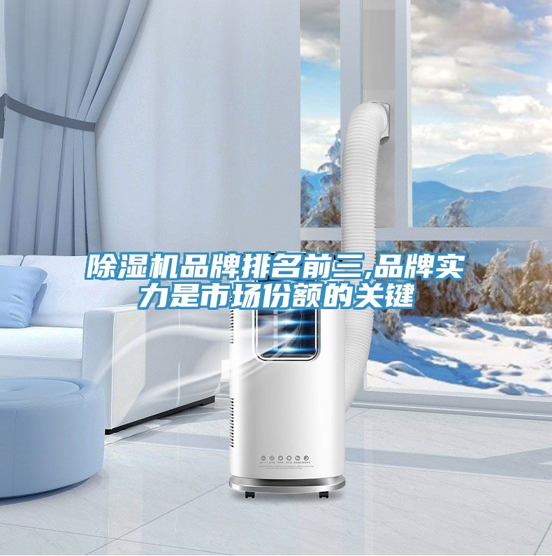 草莓视频污污污污品牌排名前三,品牌實力是市場份額的關鍵