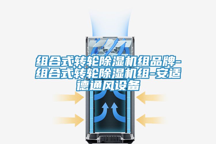 組合式轉輪草莓视频污污污污組品牌-組合式轉輪草莓视频污污污污組-安適德通風設備
