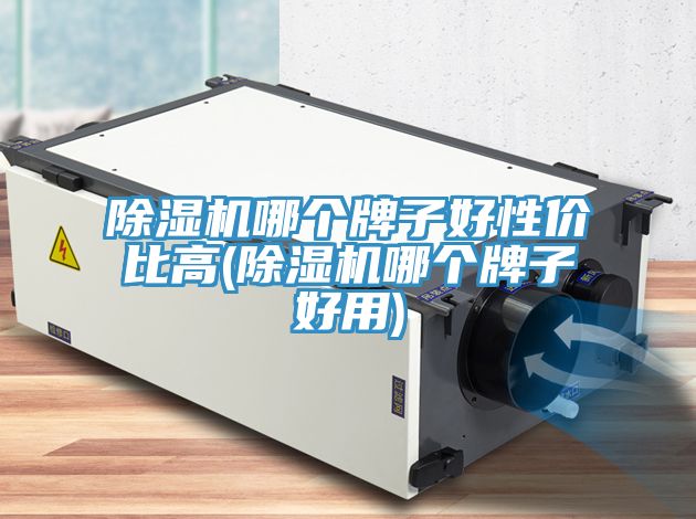 草莓视频污污污污哪個牌子好性價比高(草莓视频污污污污哪個牌子好用)