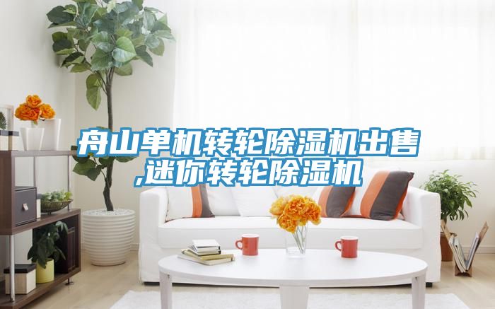 舟山單機轉輪草莓视频污污污污出售,迷你轉輪草莓视频污污污污