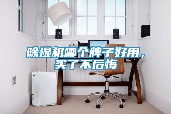 草莓视频污污污污哪個牌子好用，買了不後悔