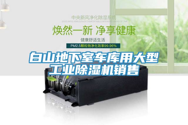 白山地下室車庫用大型工業草莓视频污污污污銷售