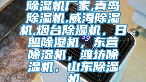 草莓视频污污污污廠家,青島草莓视频污污污污,威海草莓视频污污污污,煙台草莓视频污污污污，日照草莓视频污污污污，東營草莓视频污污污污，濰坊草莓视频污污污污，山東草莓视频污污污污