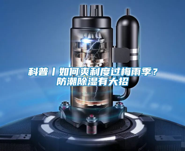 科普丨如何爽利度過梅雨季？防潮除濕有大招