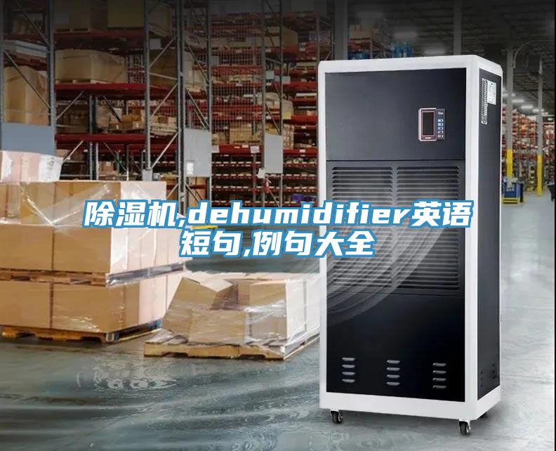 草莓视频污污污污,dehumidifier英語短句,例句大全