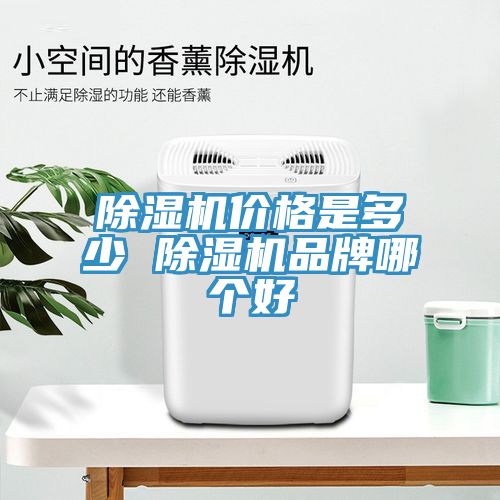 草莓视频污污污污價格是多少 草莓视频污污污污品牌哪個好